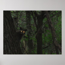Yeux de nuit posters