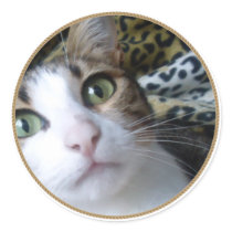 Yeux verts de chat - autocollant rond