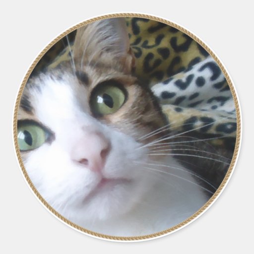 Yeux verts de chat - autocollant rond