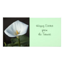 Zantedeschia Modèle Pour Photocarte