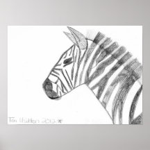 Zebra Poster