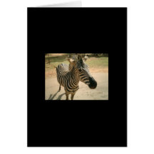 Zebra Wenskaarten