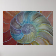 Zee Shell Plaat