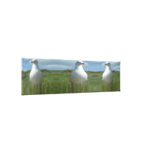 ZEEMEEUWEN CANVAS PRINT  
