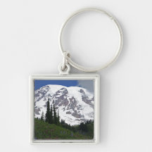 Zet de Regenachtigere Weide Keychain van het Parad Sleutelhanger