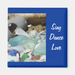 Zing de Fossielen van Seaglass van het Strand van 