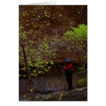 Zion rétrécit l'automne carte de vœux