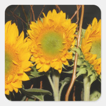 zonnebloemen vierkante sticker