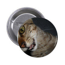 "Zonnig " Button