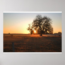 Zonsopgang Posters
