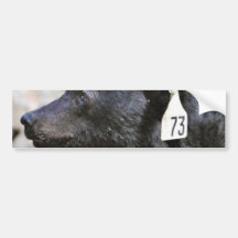 Zwart draag Dier Bumperstickers