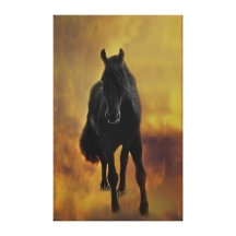 Zwart hengstsilhouet gallerij wrap canvas