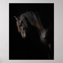 Zwart Paard Posters