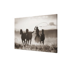 Zwart-witte foto van de Paarden van een van de Cow Stretched Canvas Print