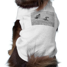 Zwart-witte ganzent-shirt voor honden