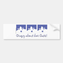 zwarte en whit longhaired kat bumpersticker