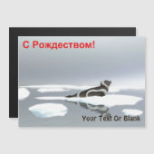 С Р д е  ж (Voorkant / Achterkant)