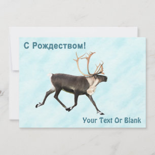 С Р д е , , , , op sneeuw