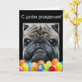 С д м р   kaart (Gele Bloem)