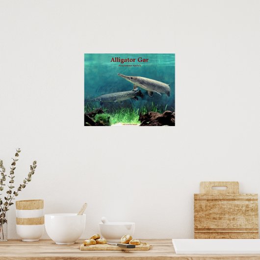 の タ ー POSTER (Keuken)