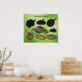 の ポ ス ー POSTER (Keuken)