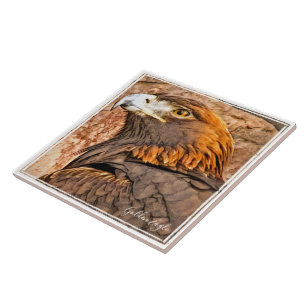 イ ワ シ TEGELTJE