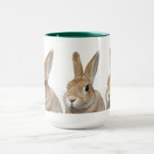 ウサギ MOK (Midden)