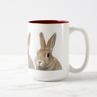 ウサギ TWEEKLEURIGE KOFFIEMOK