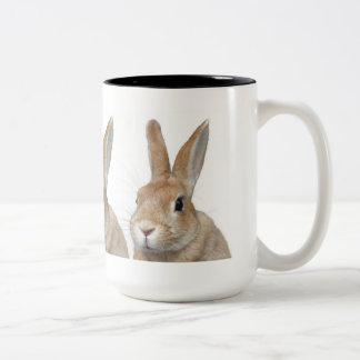 ウサギ TWEEKLEURIGE KOFFIEMOK