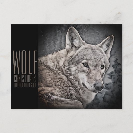 オオカミ BRIEFKAART (Voorkant)