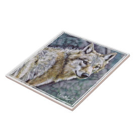 オ カ ミ TEGELTJE