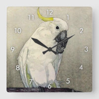キ タ オ ム, zwavelcreste cockatoo, Yoshida