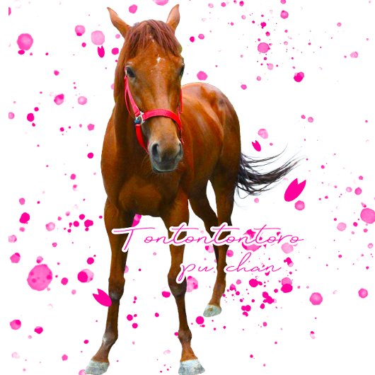 ケイメイ牧場　トントントントロちゃん　立ち姿＆総柄 TOTE BAG