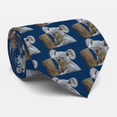 コアラ STROPDAS (Opgerold)