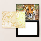 シベリアン・タイガー FOLIE KAARTEN (Display)
