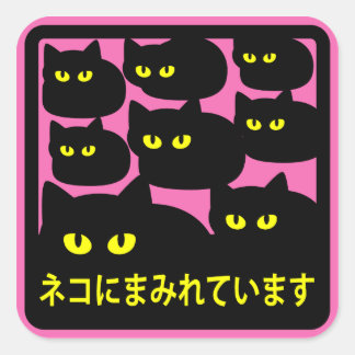 ステッカー　「ネコにまみれています」ピンク VIERKANTE STICKER