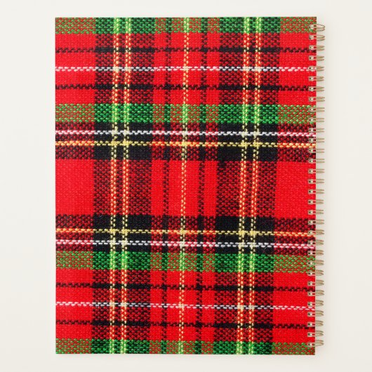 チェック柄がかわいいジャックラッセルテリアの子犬たちとクリスマス♡  (Dos)