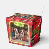 チェック柄がかわいいジャックラッセルテリアの子犬たちとクリスマス♡ BEDANKDOOSJES (Voorkant)