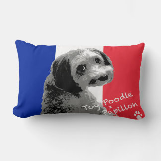 トイプードル×パピヨン KUSSEN