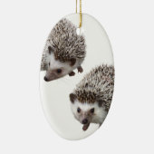 ハリネズミの優良製品 KERAMISCH ORNAMENT (Rechts)