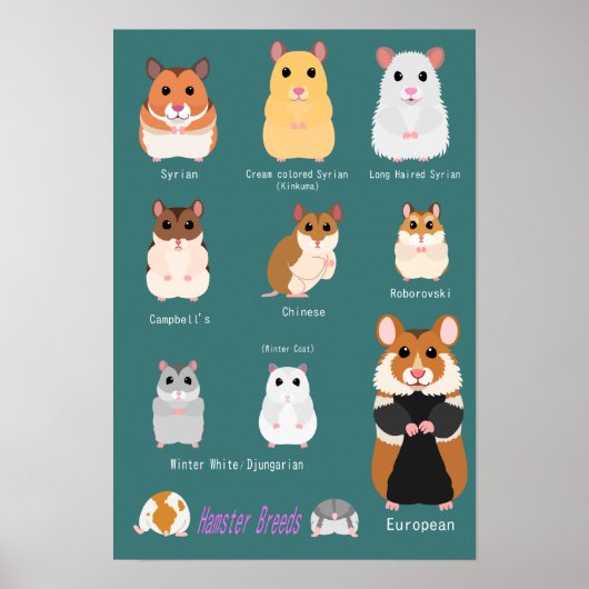 ハ ム タ ー の ) POSTER