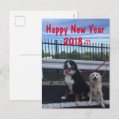 バーニーズマウンテンドッグとワイルドミックスドッグ 年賀状 2018年 戌年 FEESTDAGENKAART (Voorkant / Achterkant)