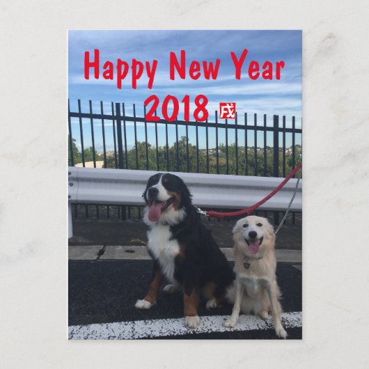 バーニーズマウンテンドッグとワイルドミックスドッグ 年賀状 2018年 戌年 FEESTDAGENKAART (Voorkant)