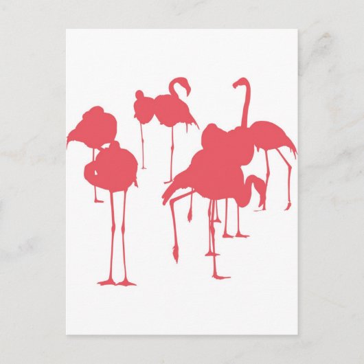 フ ラ ン ゴ BRIEFKAART (Voorkant)