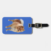 ポメラニアン BAGAGELABEL (Voorkant horizontaal)