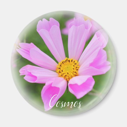 マ ネ ト MAGNEET (Voorkant)