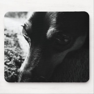 ミニチュアピンシャー マウスパッド MUISMAT