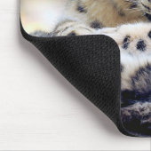 ユ キ ョ ウ MUISMAT (Hoek)