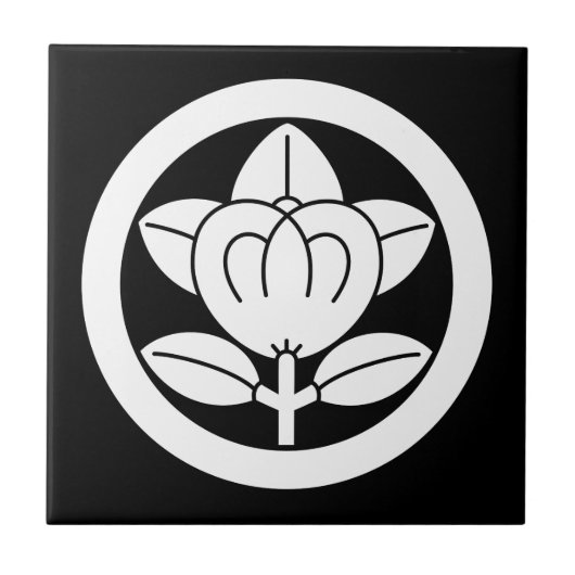 丸に橘 (六つ割り作図) TEGELTJE (Voorkant)
