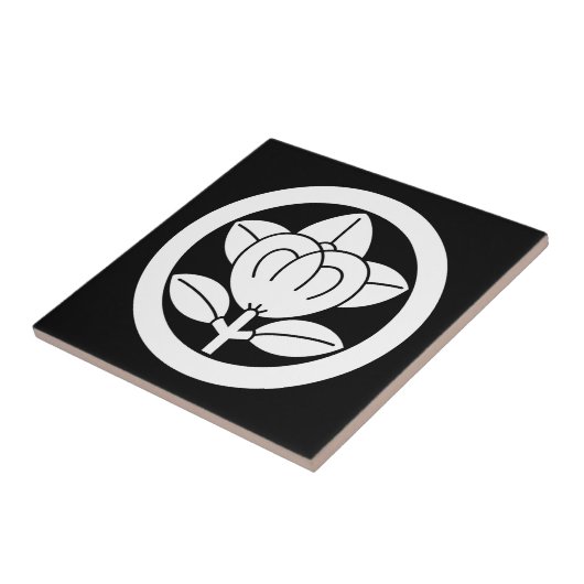 丸に橘 (六つ割り作図) TEGELTJE (Zijkant)